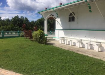 Green Lawn & Beautiful Weather